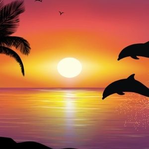 Meet your Posher, Jazmin